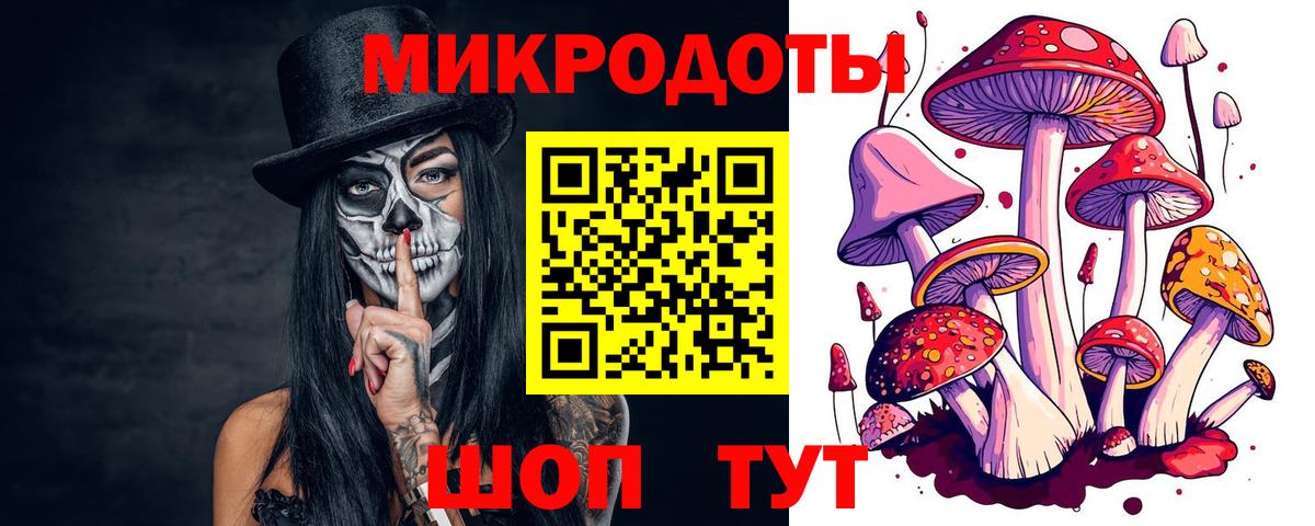Буйнакск  хочу   Вход с VPN  Галлюциногенные грибы Psilocybe 