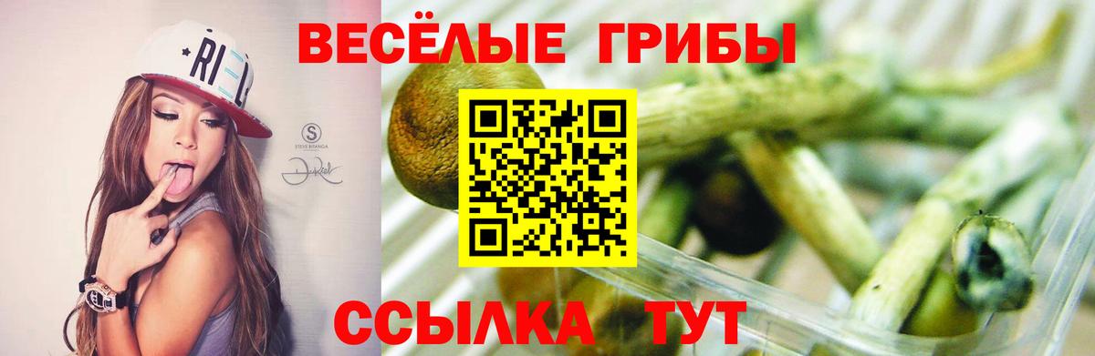 Галлюциногенные грибы Magic Shrooms Буйнакск